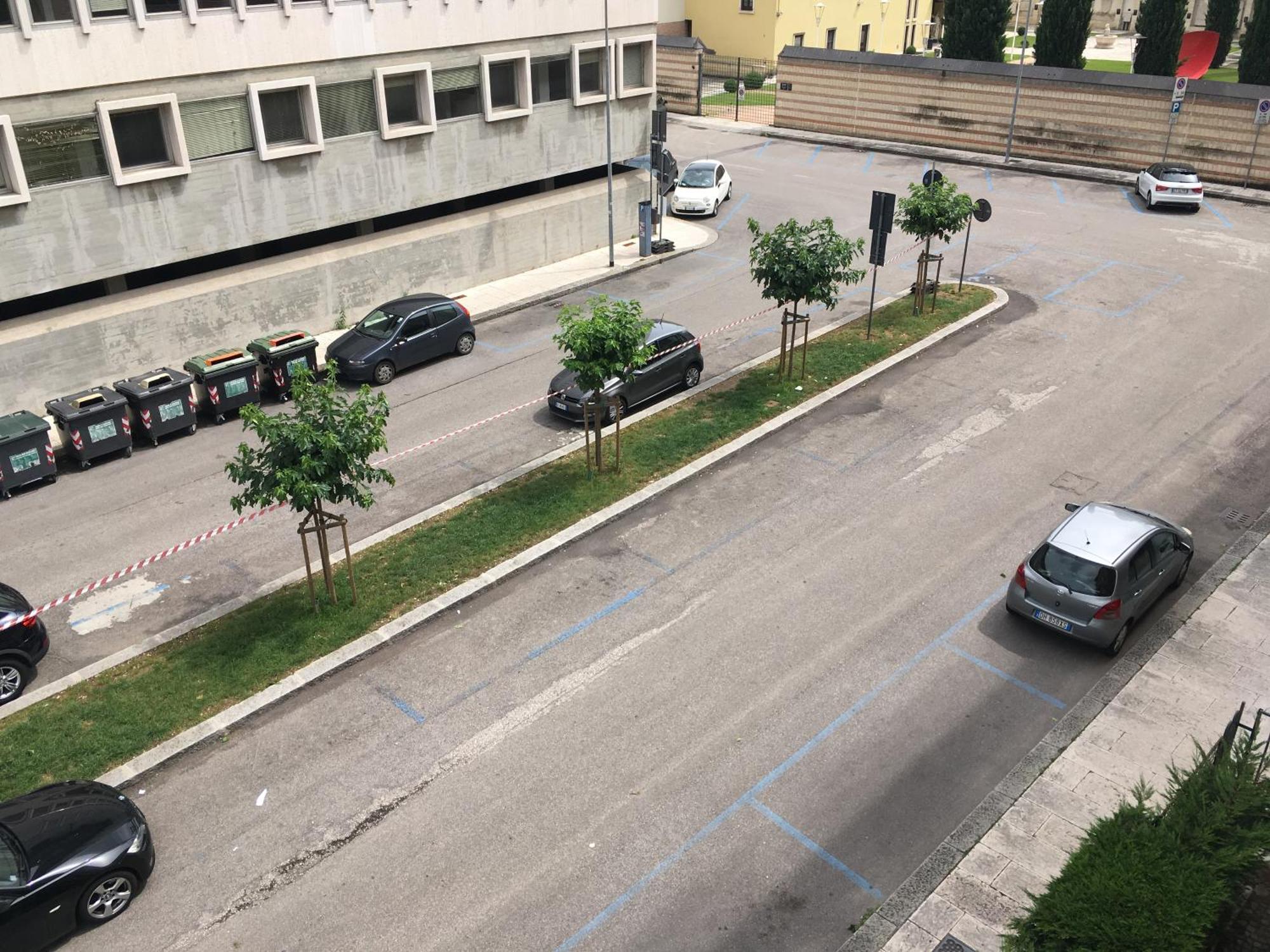 Domus Fluminis Bed & Breakfast Verona Exterior photo
